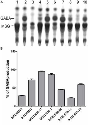 GABA-Producing Natural Dairy Isolate From Artisanal Zlatar Cheese Attenuates Gut Inflammation and Strengthens Gut Epithelial Barrier in vitro